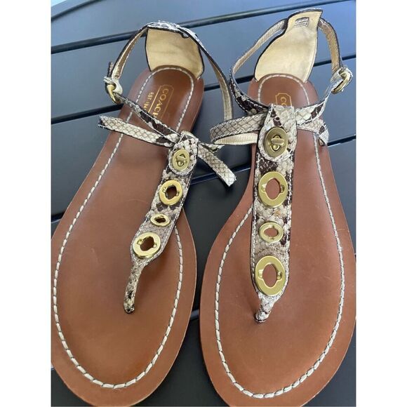NWT Coach Sieannah Snake Print Leather Thong sandals 11B - Picture 11 of 11
